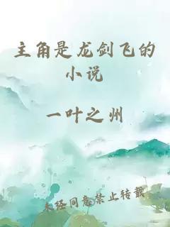 主角是龙剑飞的小说