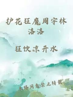 护花狂魔周宇林洛洛