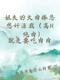 姐夫的大肉棒总想奸淫我（高H，纯肉）