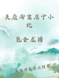 天庭淘宝店宁小北
