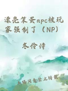 漂亮笨蛋npc被玩家强制了（NP）