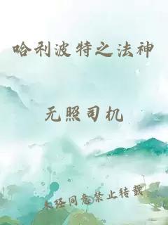 哈利波特之法神