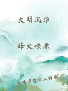 大明风华
