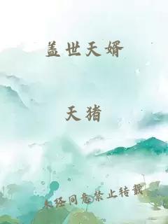 盖世天婿