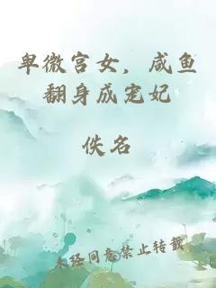 卑微宫女，咸鱼翻身成宠妃