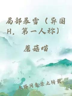 局部暴雪（异国H，第一人称）