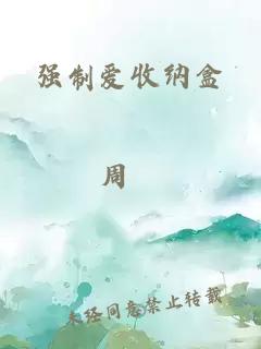 强制爱收纳盒