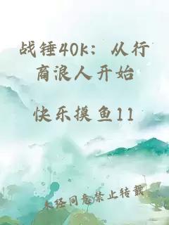 战锤40k：从行商浪人开始