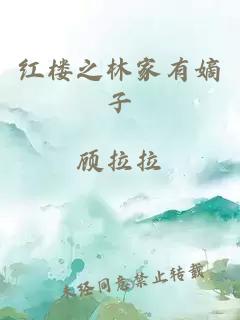 红楼之林家有嫡子