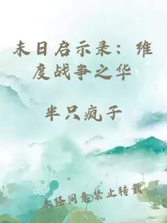 末日启示录：维度战争之华