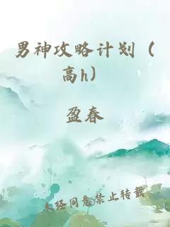 男神攻略计划（高h）