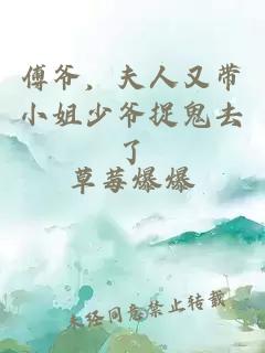 傅爷，夫人又带小姐少爷捉鬼去了