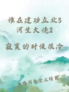 谁在建功立业3河生大佬2