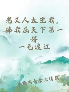 老丈人太宠我，捧我成天下第一婿