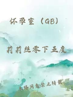 怀孕室（GB）