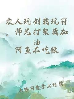 众人玩剑我玩符，师兄打架我加油