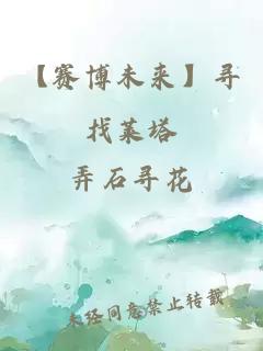 【赛博未来】寻找莱塔