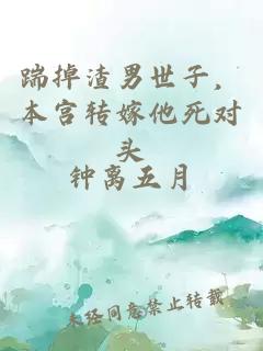 踹掉渣男世子，本宫转嫁他死对头