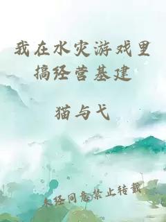 我在水灾游戏里搞经营基建