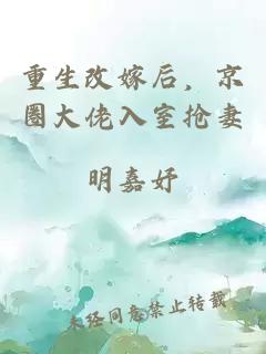 重生改嫁后，京圈大佬入室抢妻