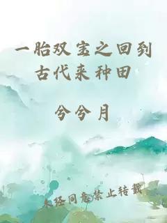 一胎双宝之回到古代来种田