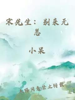 宋先生：别来无恙