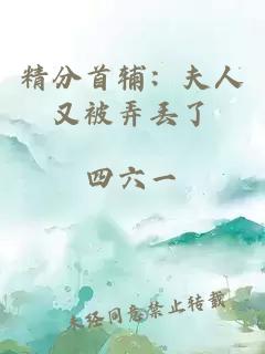 精分首辅：夫人又被弄丢了