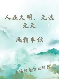 人在大明，无法无天