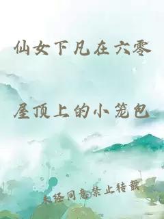 仙女下凡在六零