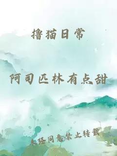 撸猫日常