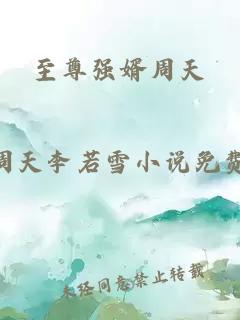 至尊强婿周天