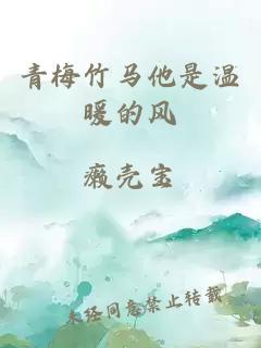 青梅竹马他是温暖的风