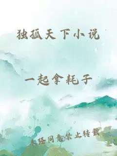 独孤天下小说